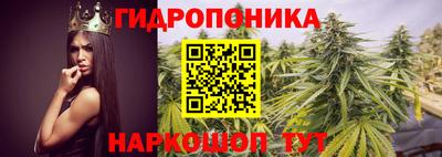 индика Краснодар