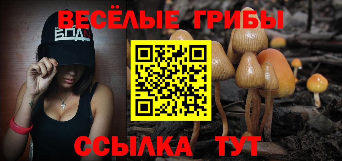 Галлюциногенные грибы MAGIC MUSHROOMS Комсомольск-на-Амуре