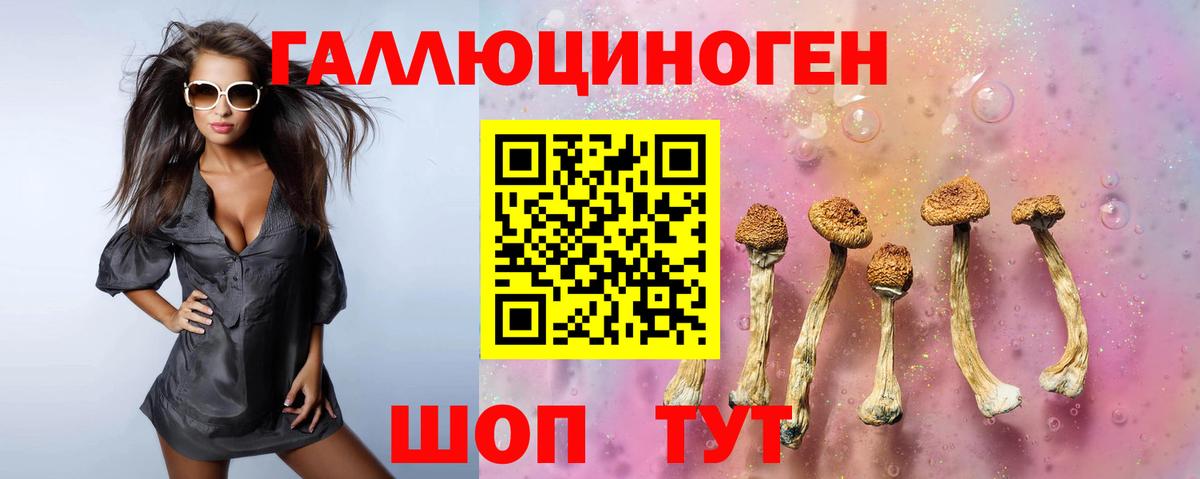Псилоцибиновые грибы Psilocybine cubensis  Вход с VPN  Комсомольск-на-Амуре 